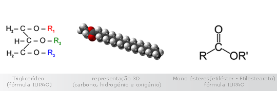 Figura 10: Fórmulas de Triglicerídeos e Mono ésteres do Biodiesel.