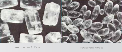 Exemplos de cristais produzidos industrialmente (Swenson Equipment).