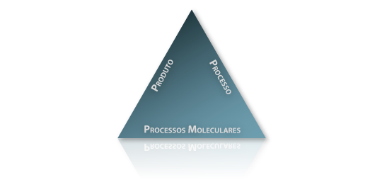 O trio "processos moleculares-produto-processos"
