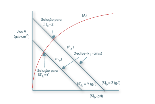 Solução gráfica para a equação 27: (A) Curva da cinética da reacção, (B) Velocidade de transferência de massa