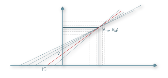 Determinação dos parâmetros cinéticos segundo o “direct linear plot”