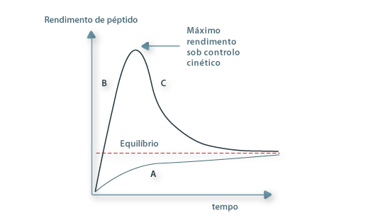 Síntese de péptido sob controlo termodinâmico (A) e controlo cinético (B).