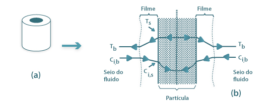 Partículas de catalisador: (a)- partícula industrial (anel perfurado); (b)- vista transversal da placa plana, esquematizando os gradientes de temperatura e concentração de um reagente i, para uma reacção exotérmica e com transporte de massa por difusão