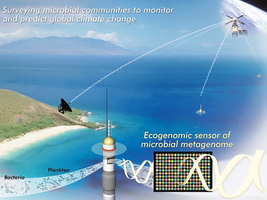 Vigiando o oceano: sensores ecogenómicos à escala nano. As sentinelas microbianas do ecosistema