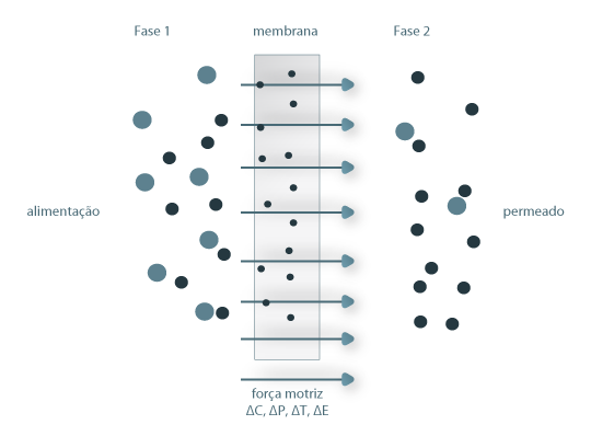 Representação esquemática de um sistema de 2 fases separado por uma membrana (adaptado de Mulder, 1991)