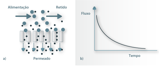 Escoamento em processos de membranas; a) Fluxo cruzado; b) Declínio do fluxo de permeado.