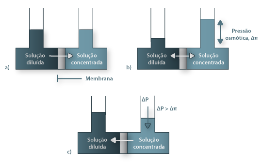 Osmose (a), equilíbrio osmótico (b) e osmose inversa (c)