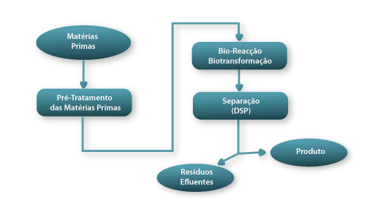 Grupos de operações no desenvolvimento de um bioprocesso