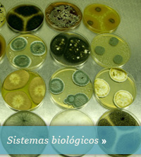 Sistemas Biológicos